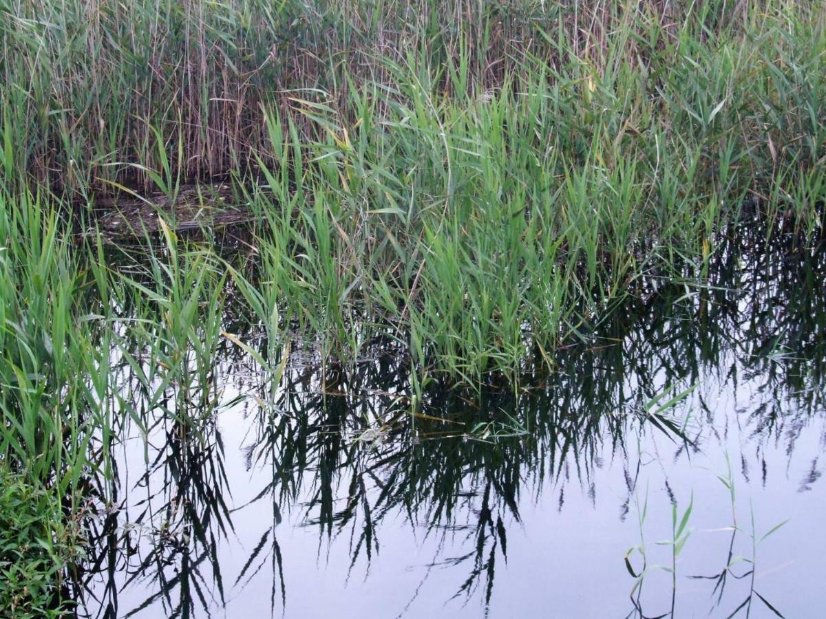 Casa Lagoa Verde Esmoriz Zewnętrze zdjęcie