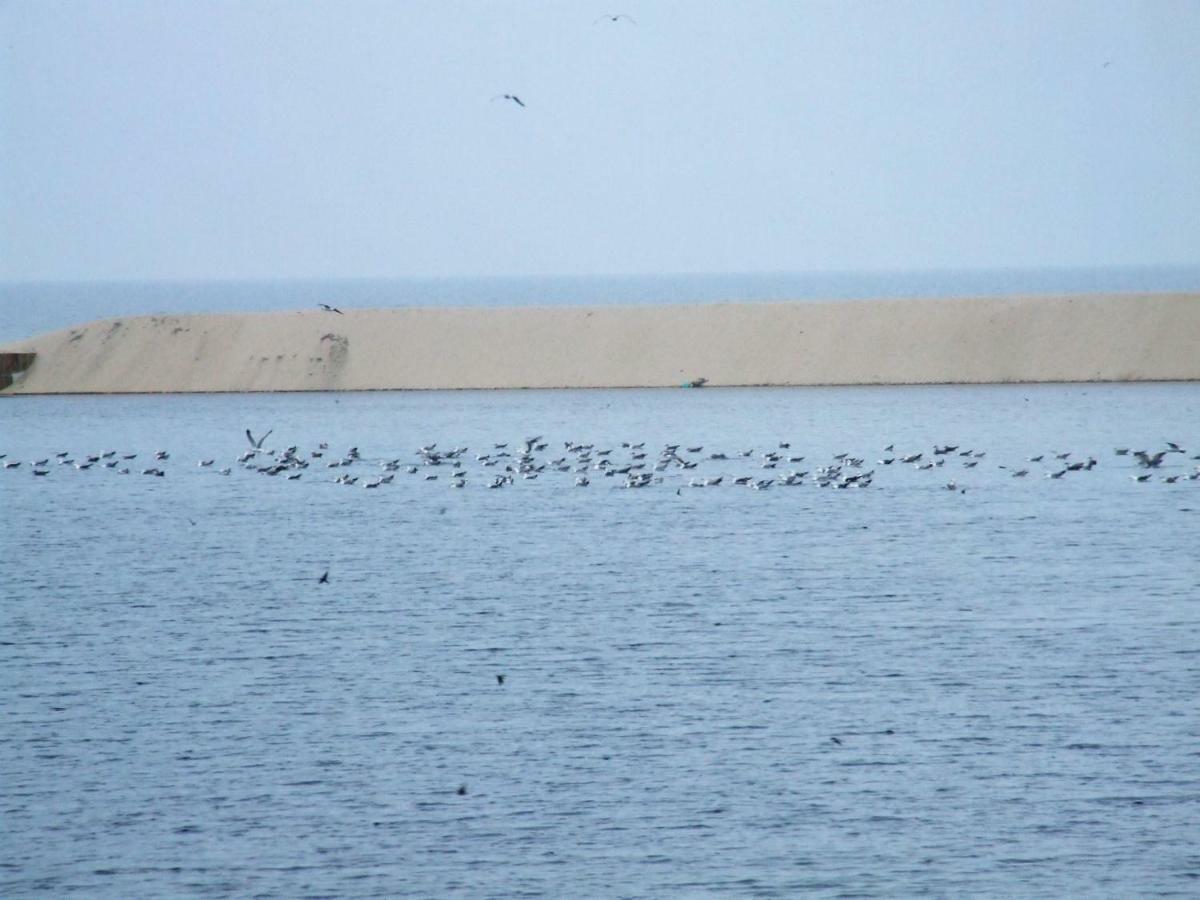 Casa Lagoa Verde Esmoriz Zewnętrze zdjęcie
