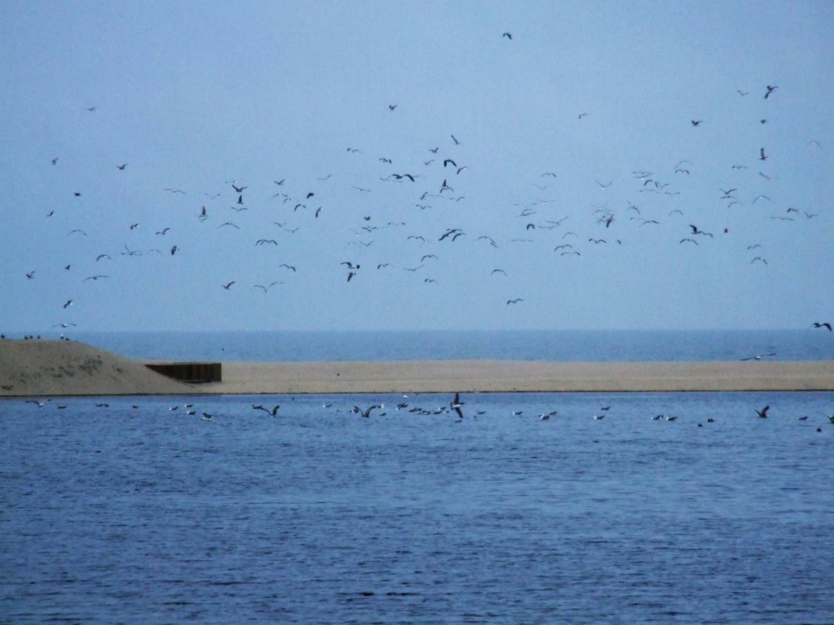 Pensjonat Casa Lagoa Verde Esmoriz Zewnętrze zdjęcie