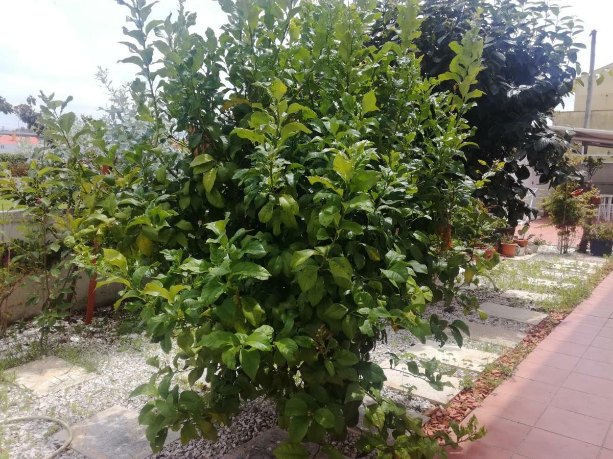 Casa Lagoa Verde Esmoriz Zewnętrze zdjęcie
